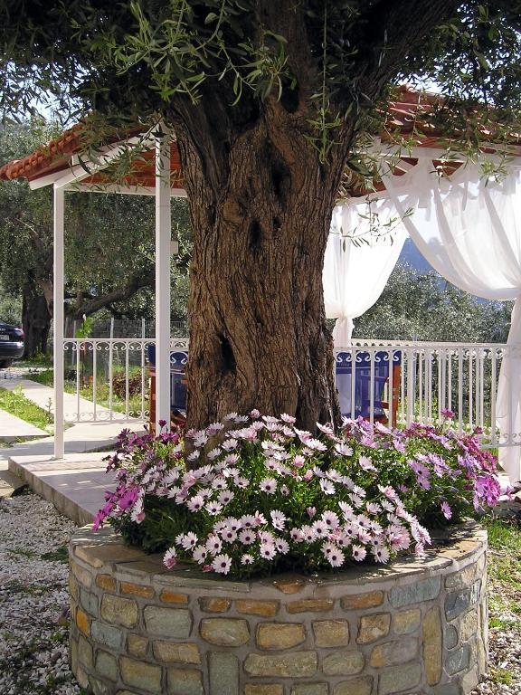 Golden Beach Inn Chrysi Ammoudia Habitación foto